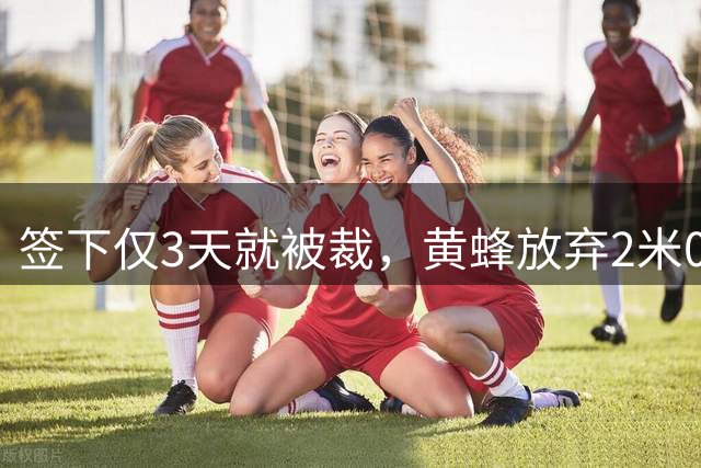 签下仅3天就被裁，黄蜂放弃2米01侧翼斯图尔特